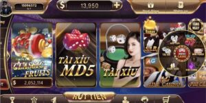 All in trong Tài Xỉu là gì?