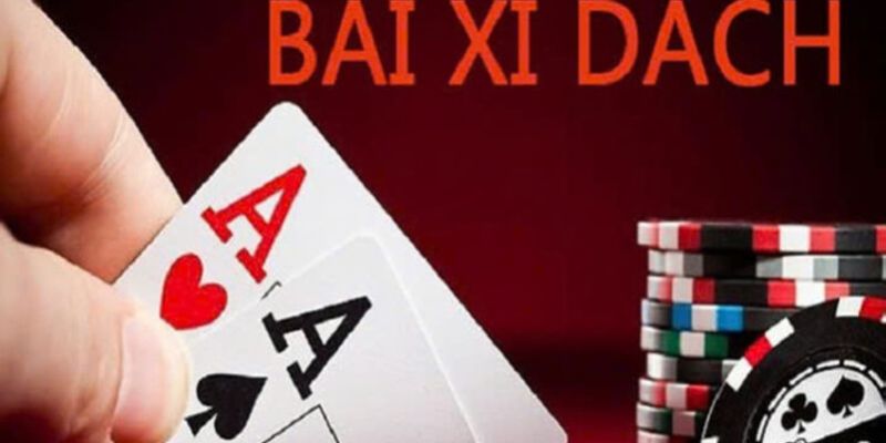 Tìm hiểu luật Xì Dách
